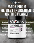 CREATINE X COLLAGEN | MIXED BERRY