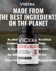 CREATINE X COLLAGEN