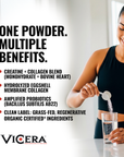 CREATINE X COLLAGEN | MIXED BERRY