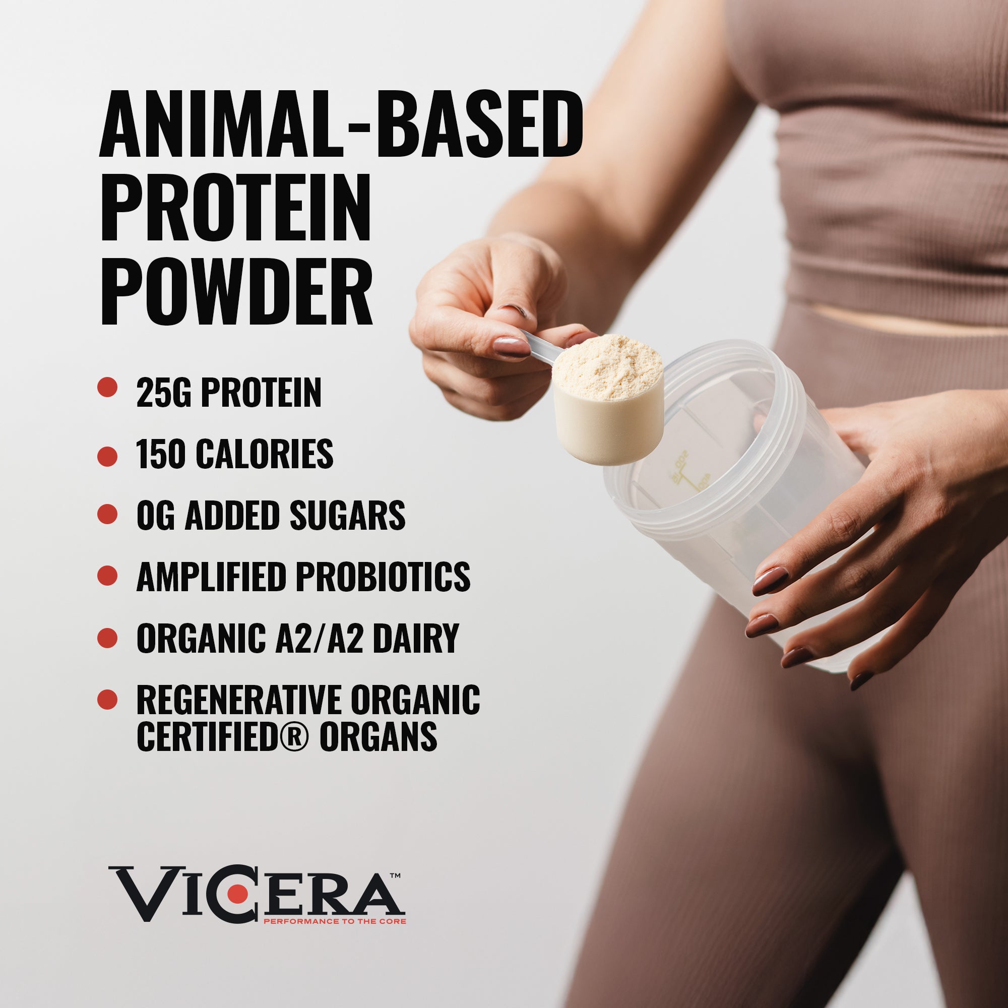 A2 PROTEIN | CHOCOLATE MILK | FIRST-AND-ONLY SUPERFOOD BLEND - VICERA