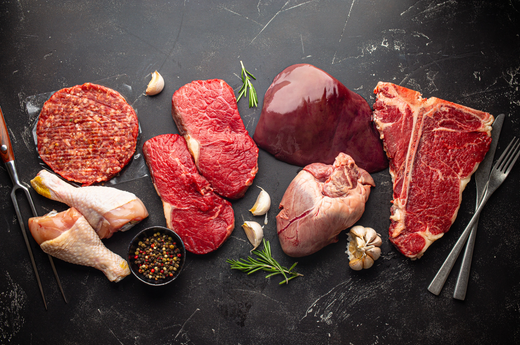 Why Animal Organs?