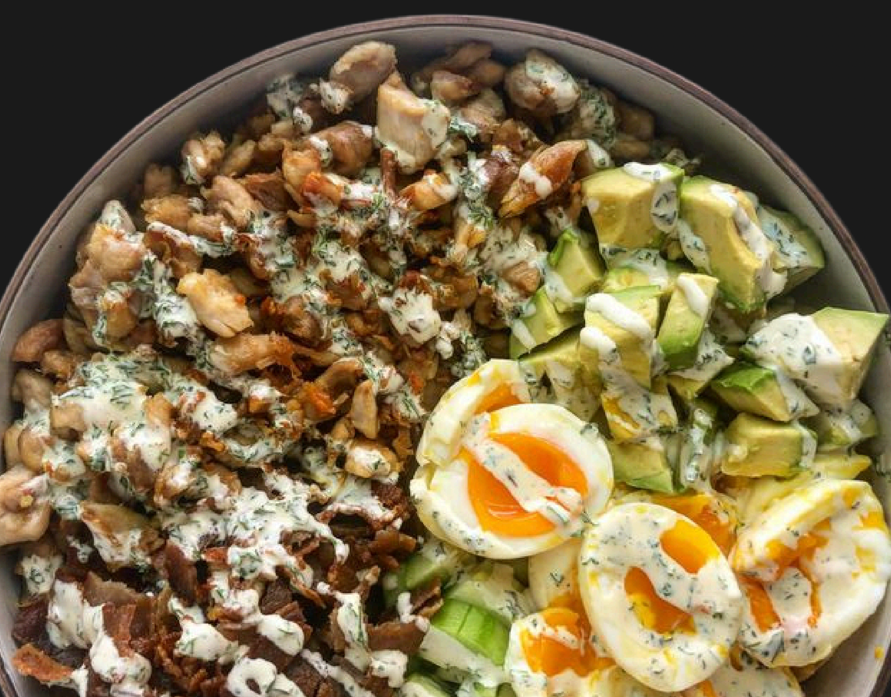 What is the ViCera Diet?