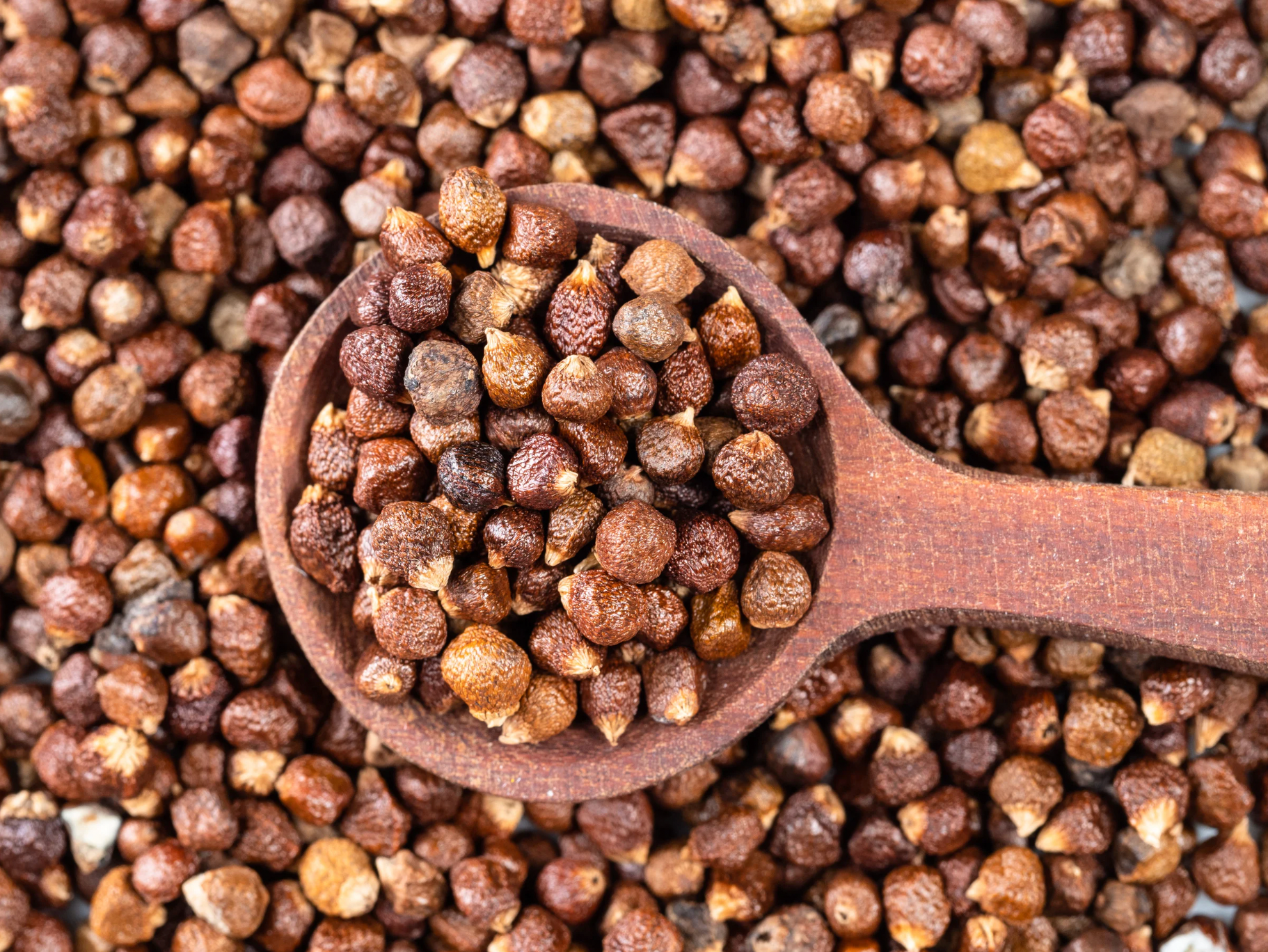 What are Grains of Paradise?