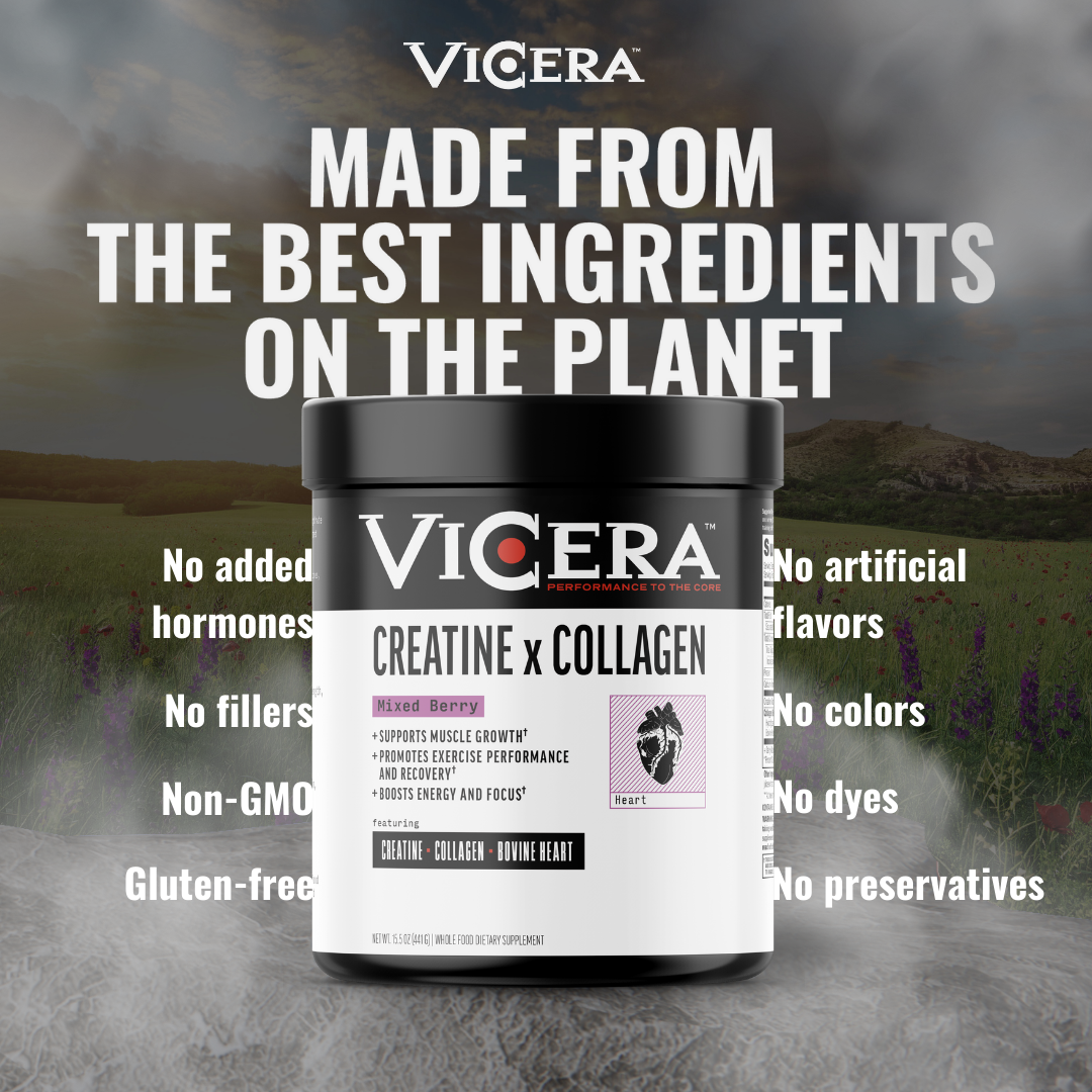 CREATINE X COLLAGEN | MIXED BERRY | REVOLUTIONARY BLEND - VICERA CREATINE X COLLAGEN | MIXED BERRY | REVOLUTIONARY BLEND - VICERA