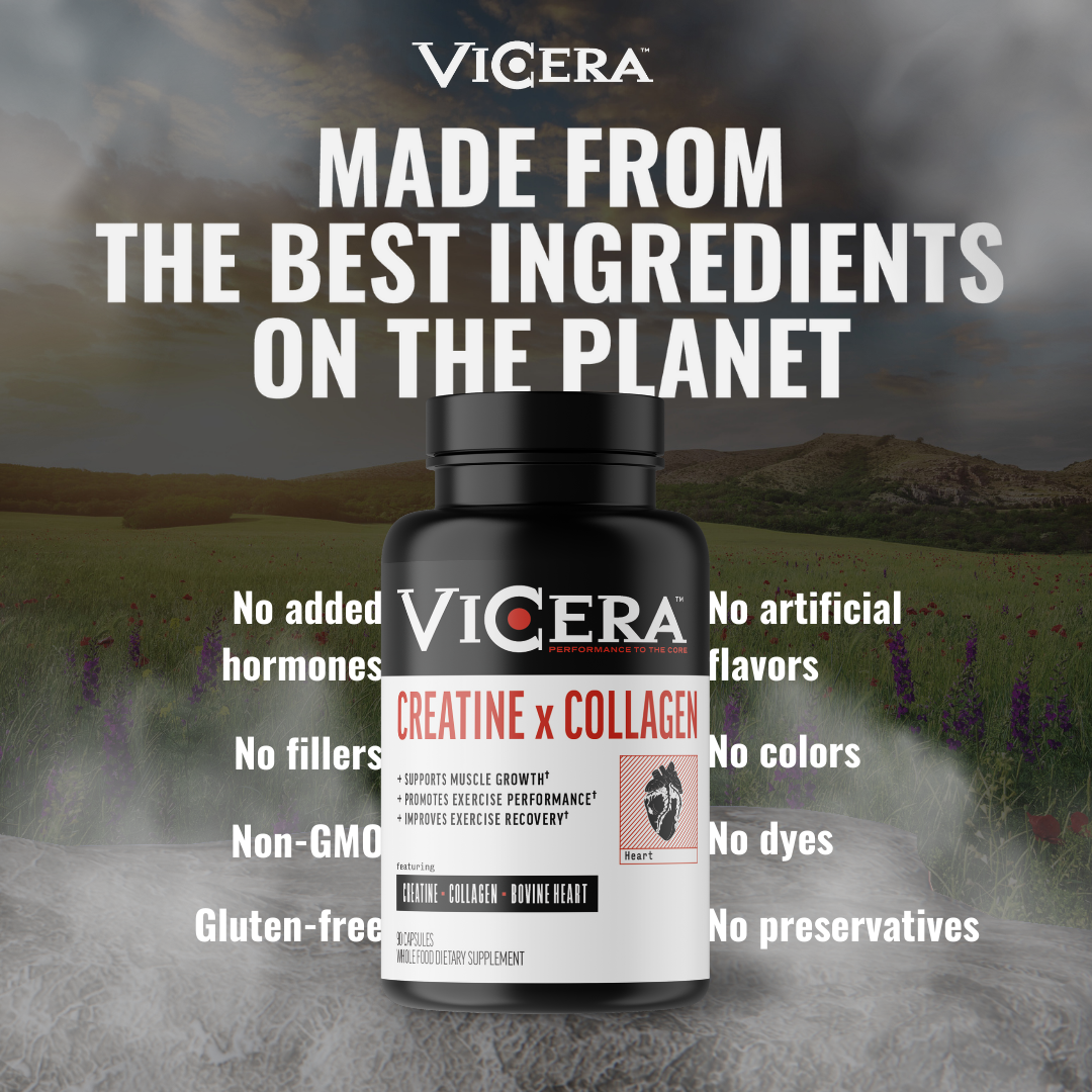 CREATINE X COLLAGEN | REVOLUTIONARY SUPERFOOD BLEND - VICERA CREATINE X COLLAGEN | REVOLUTIONARY SUPERFOOD BLEND - VICERA