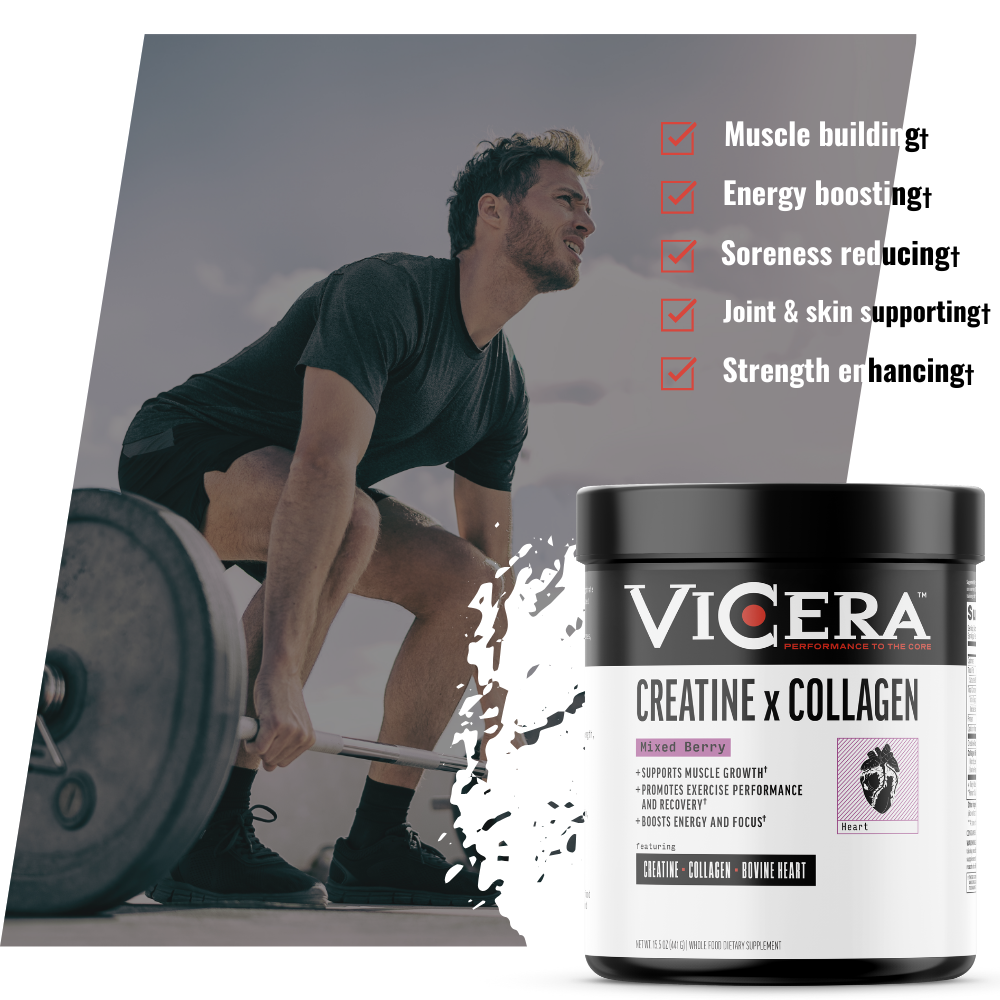 CREATINE X COLLAGEN | MIXED BERRY | REVOLUTIONARY BLEND - VICERA CREATINE X COLLAGEN | MIXED BERRY | REVOLUTIONARY BLEND - VICERA