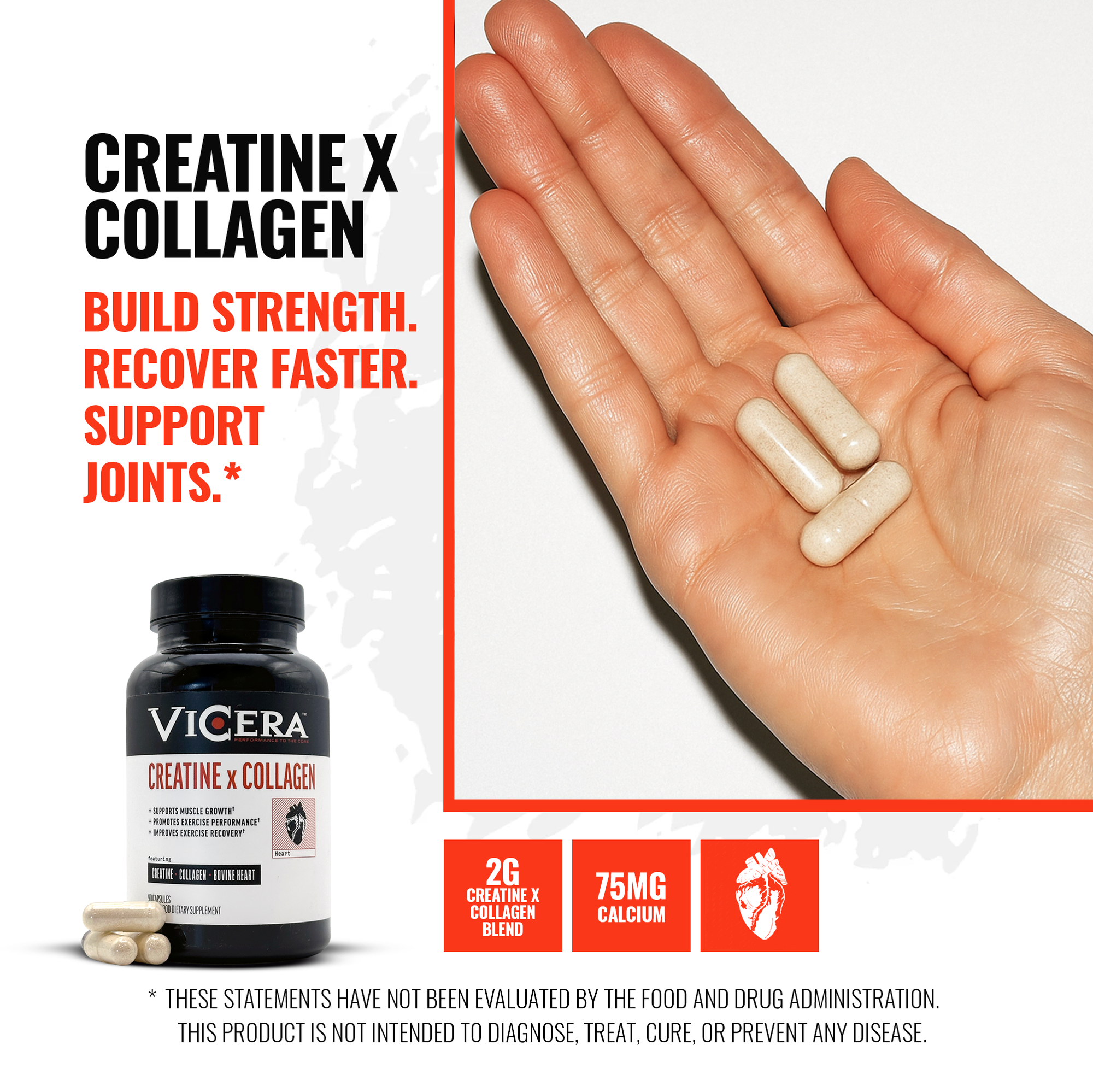 CREATINE X COLLAGEN | REVOLUTIONARY SUPERFOOD BLEND - VICERA CREATINE X COLLAGEN | REVOLUTIONARY SUPERFOOD BLEND - VICERA