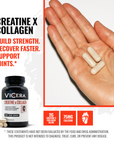 CREATINE X COLLAGEN